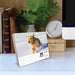Goldens 2027 Page-A-Day Calendar