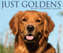 Goldens 2027 Page-A-Day Calendar