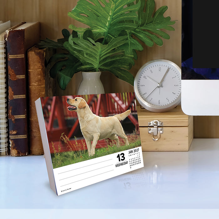 Labs Just 2027 Page-A-Day Calendar