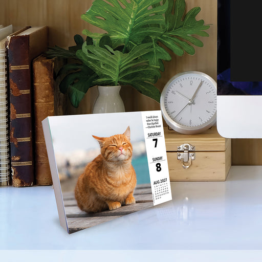 What Cats Teach Us 2027 Page-A-Day Calendar