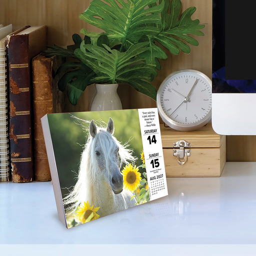 What Horses Teach Us 2027 Page-A-Day Calendar