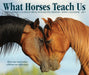 What Horses Teach Us 2027 Page-A-Day Calendar