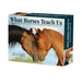 What Horses Teach Us 2027 Page-A-Day Calendar