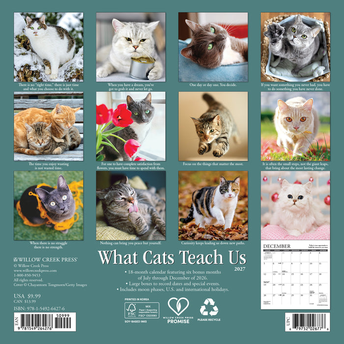 What Cats Teach Us 2027 Mini Wall Calendar