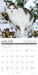 What Cats Teach Us 2027 Mini Wall Calendar