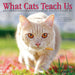 What Cats Teach Us 2027 Mini Wall Calendar