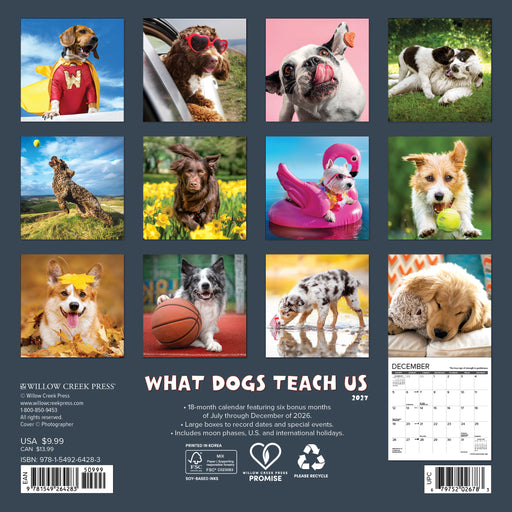 What Dogs Teach Us 2027 Mini Wall Calendar