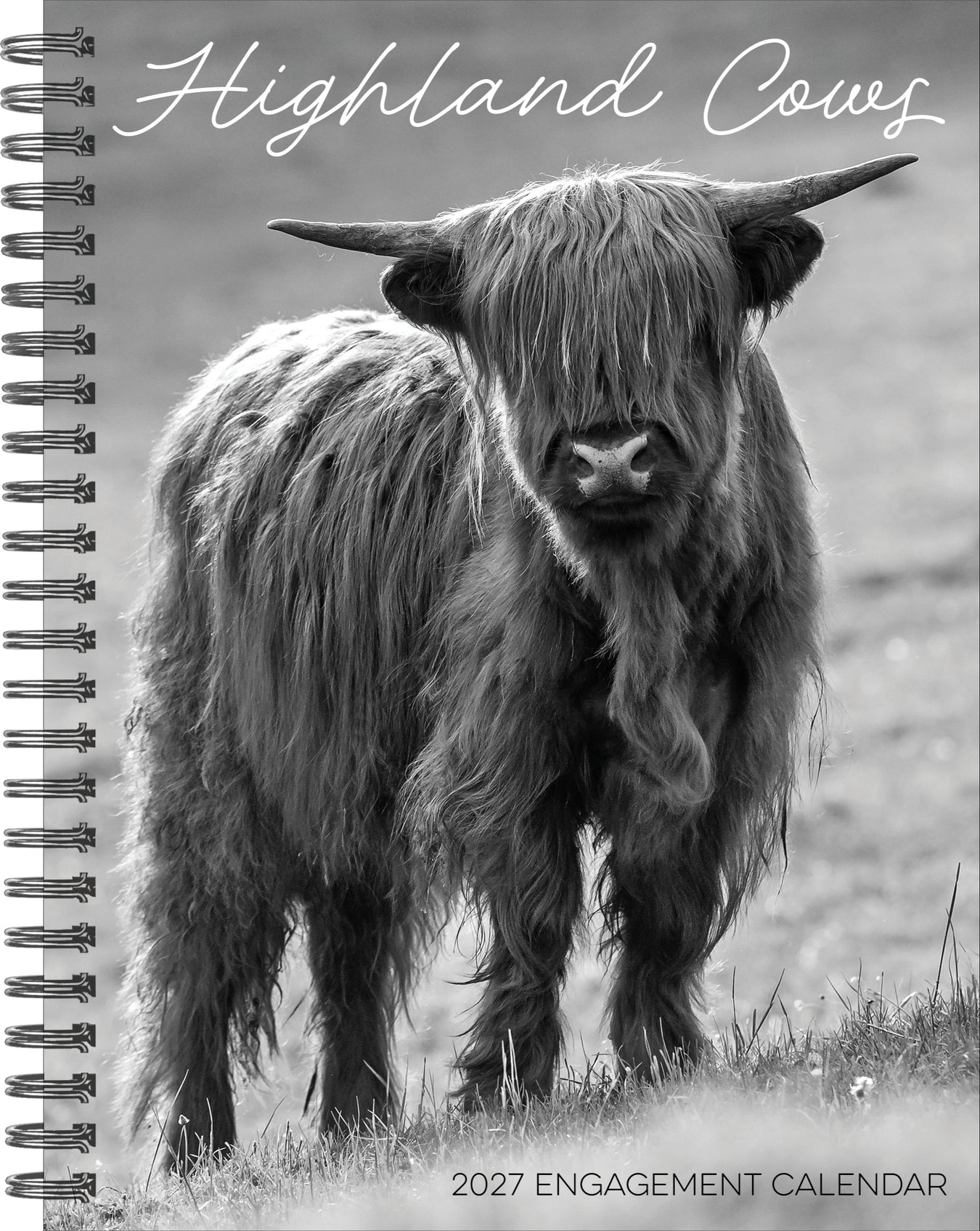 All Calendars, Diaries & Planners