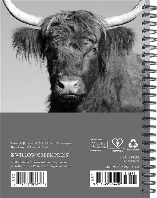 Highland Cows 2027 Weekly Diary