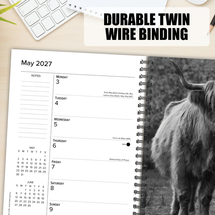 Highland Cows 2027 Weekly Diary