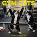 Gym Cats 2027 Square Wall Calendar