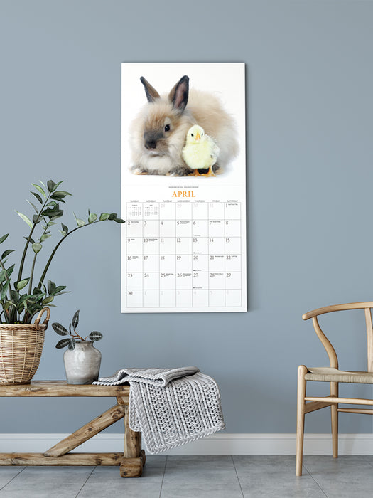 2024 Bunnies & Friends Wall Calendar