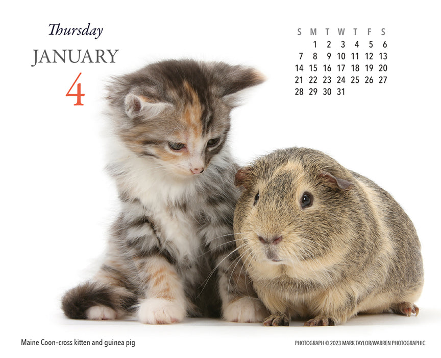 2024 Kittens & Friends Page-A-Day