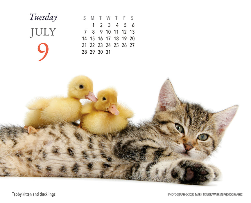 2024 Kittens & Friends Page-A-Day