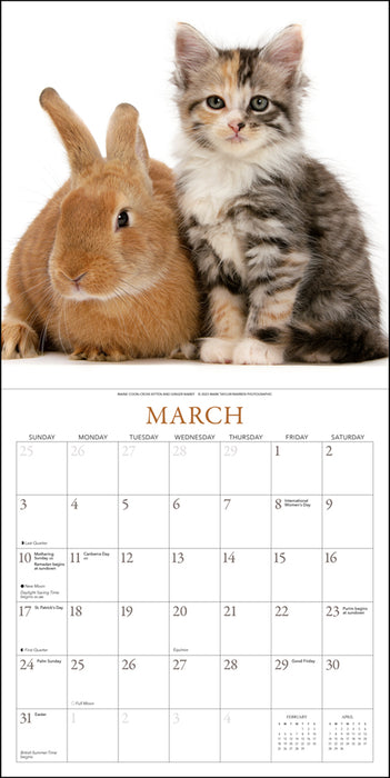 2024 Kittens & Friends Wall Calendar