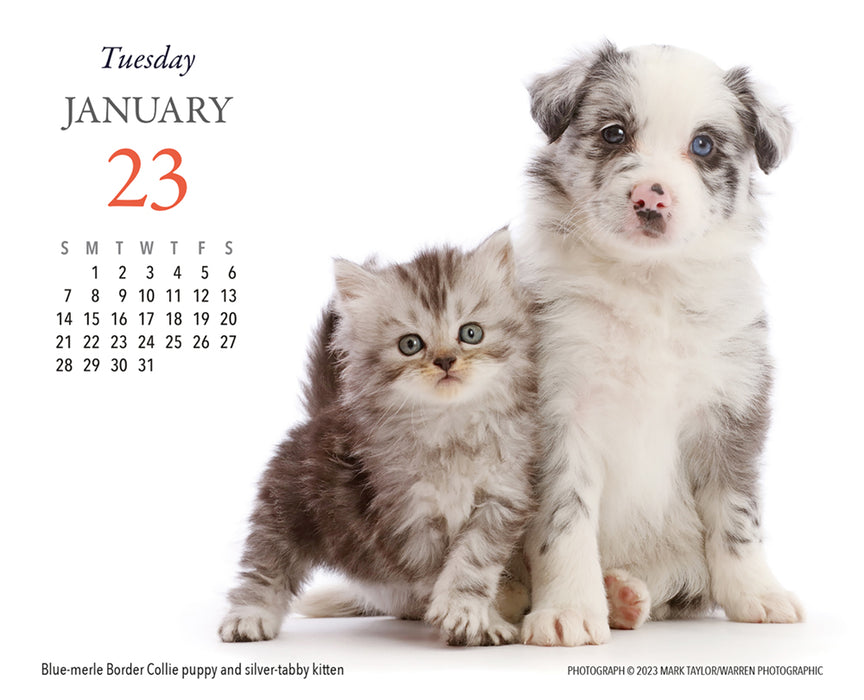 2024 Puppies & Friends Page-A-Day