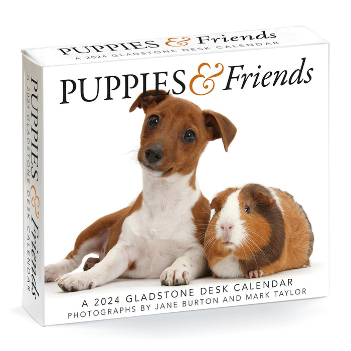 2024 Puppies & Friends Page-A-Day