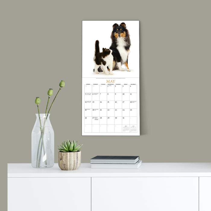 2024 Puppies & Friends Mini Wall Calendar