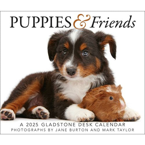 2025 Puppies & Friends Page-A-Day Calendar