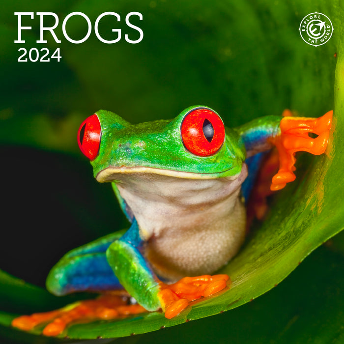 2024 Frogs Mini Wall Calendar