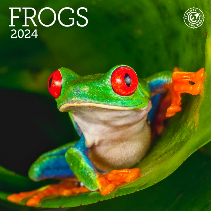 2024 Frogs Mini Wall Calendar — Calendar Club
