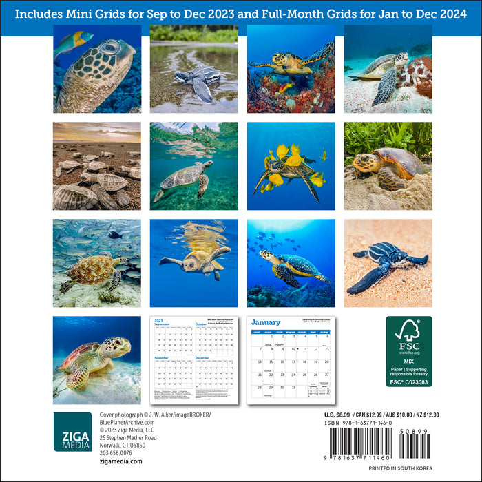 2024 Sea Turtles Mini Wall Calendar