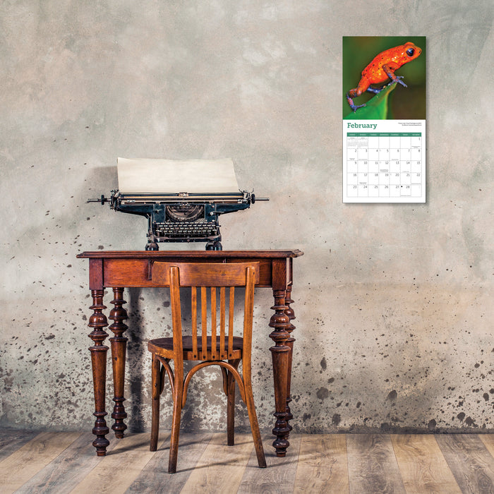 2025 Frogs Mini Wall Calendar
