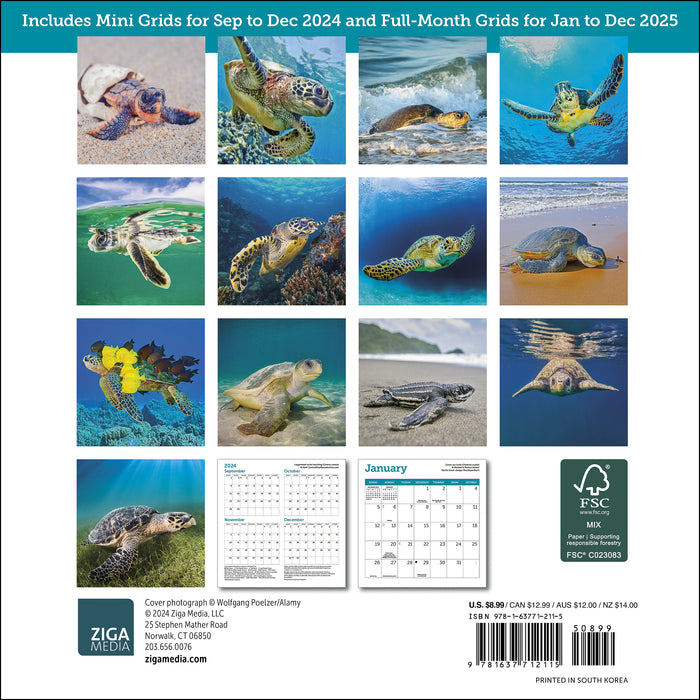 2025 Sea Turtles Mini Wall Calendar