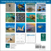 Sea Turtles 2027 Mini Wall Calendar