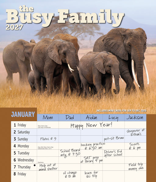 Busy Family 2027 Large Wall Calendar