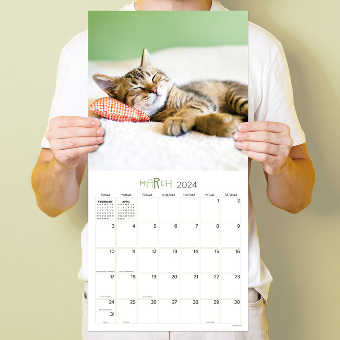 2024 Cat Dreams Wall Calendar