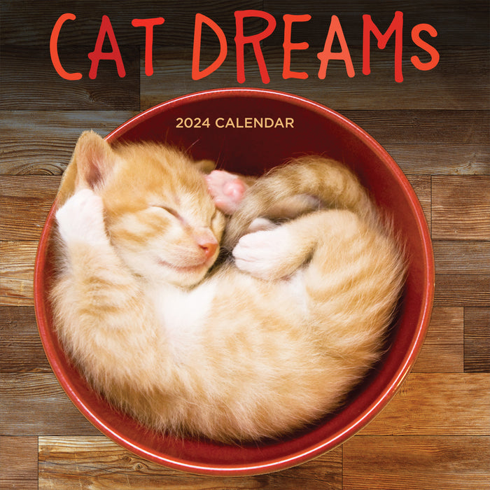 2024 Cat Dreams Wall Calendar