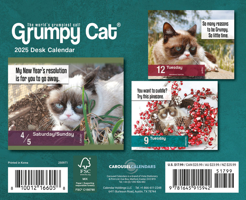 2025 Grumpy Cat Page-A-Day Calendar