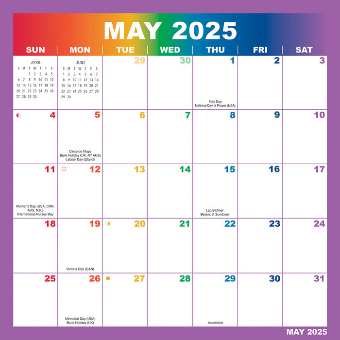 2025 Rainbow Magic Grip Wall Calendar