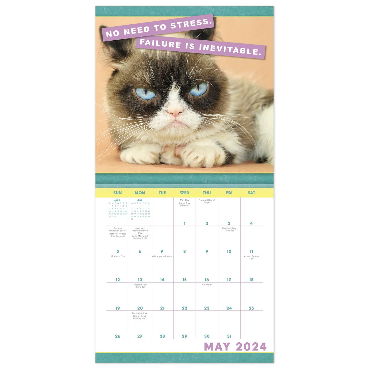 2024 Grumpy Cat Mini Wall Calendar — Calendar Club