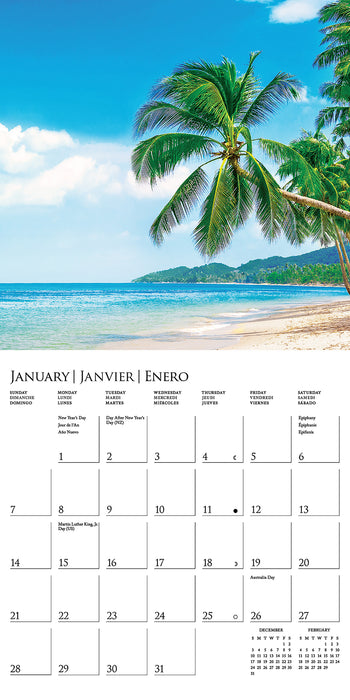 2024 Island Paradise Mini Wall Calendar