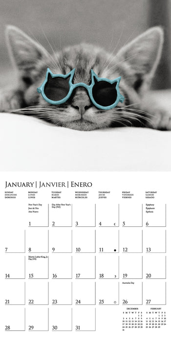 2024 Classic Cats Mini Wall Calendar
