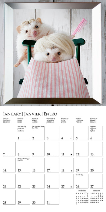 2024 Happiest Hedgehogs Mini Wall Calendar