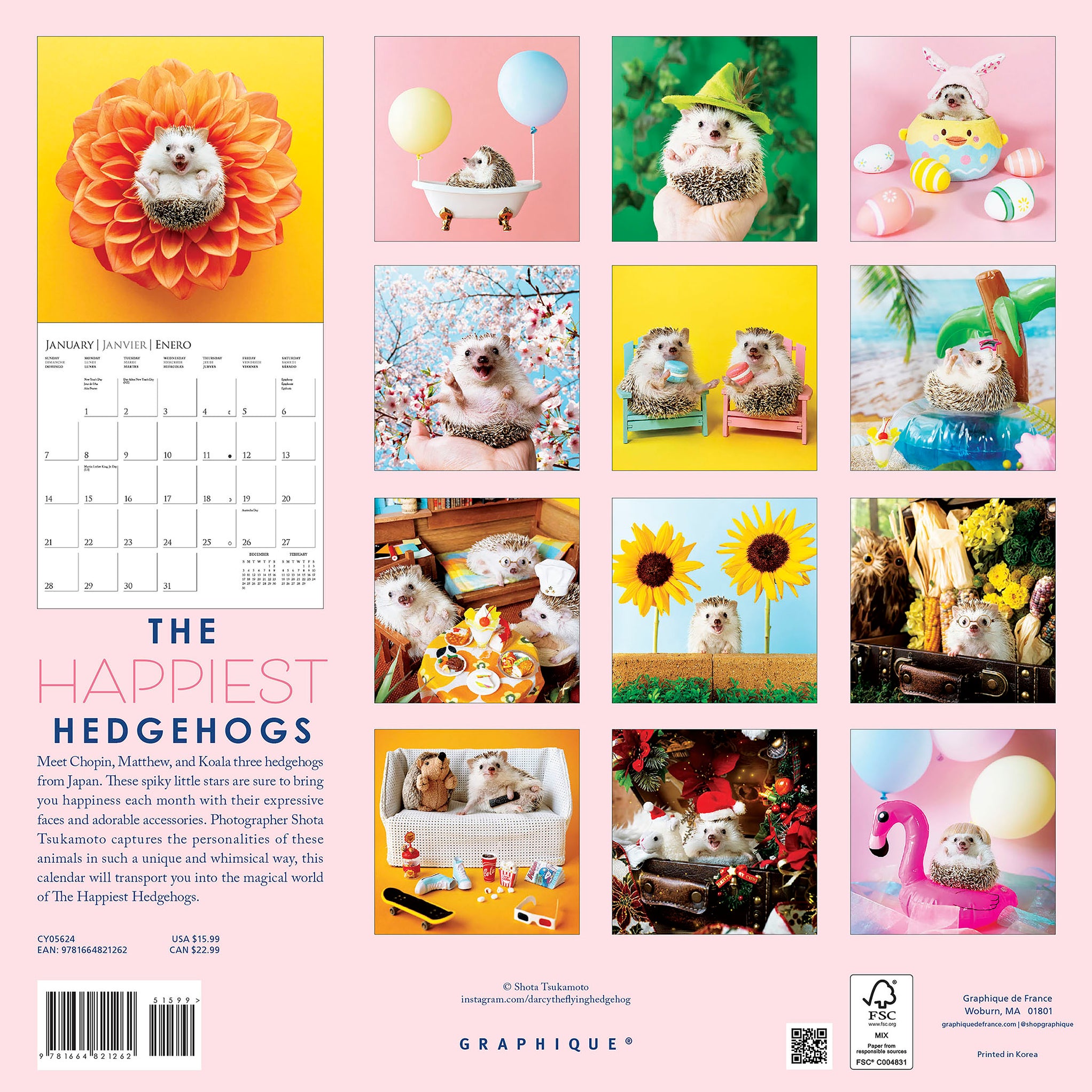 2024 Happiest Hedgehogs Wall Calendar — Calendar Club