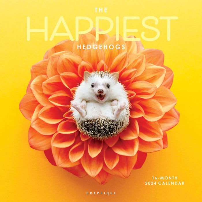 2024 Happiest Hedgehogs Wall Calendar