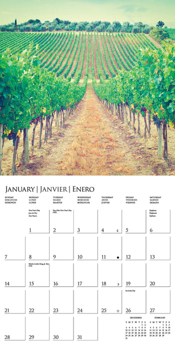 2024 Tuscany Wall Calendar (Online Exclusive)