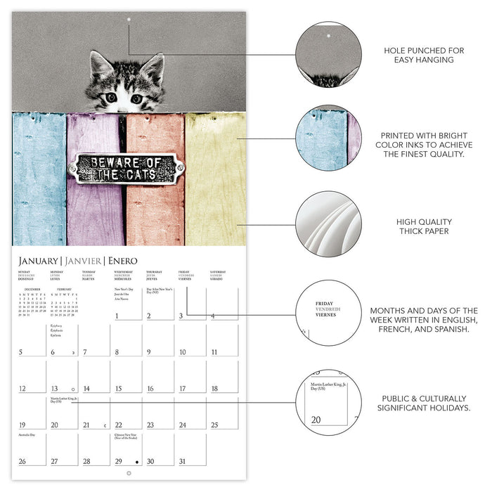 2025 Classic Cats Mini Wall Calendar