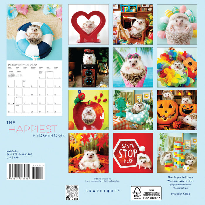 Happiest Hedgehogs 2026 Mini Wall Calendar