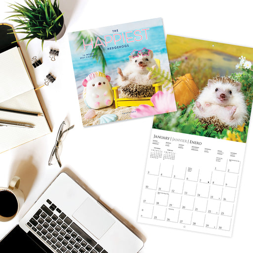 Happiest Hedgehogs 2027 Mini Wall Calendar
