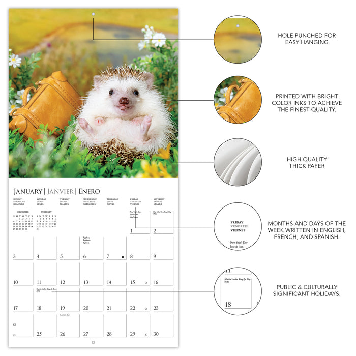 Happiest Hedgehogs 2027 Mini Wall Calendar
