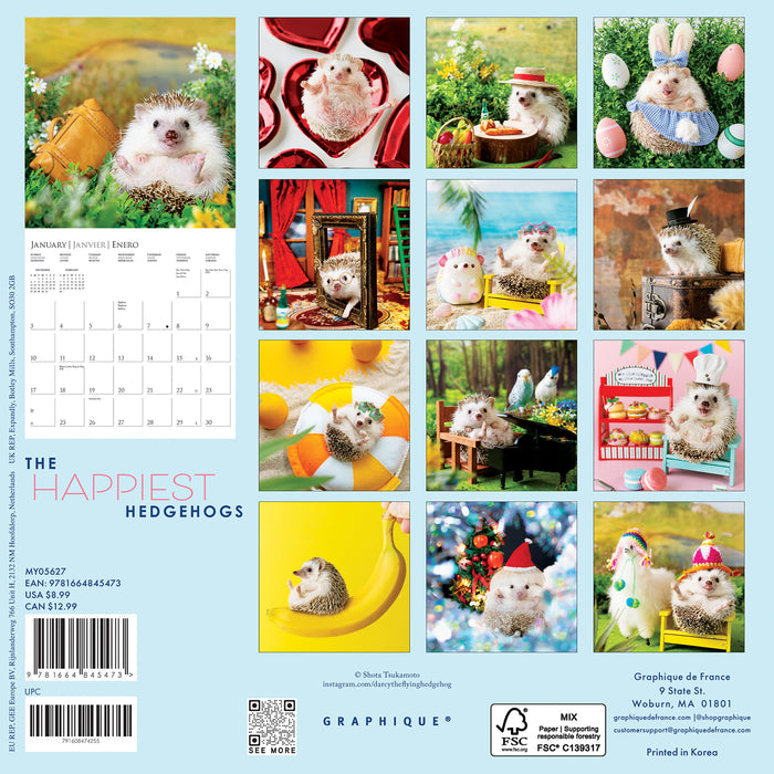 Happiest Hedgehogs 2027 Mini Wall Calendar