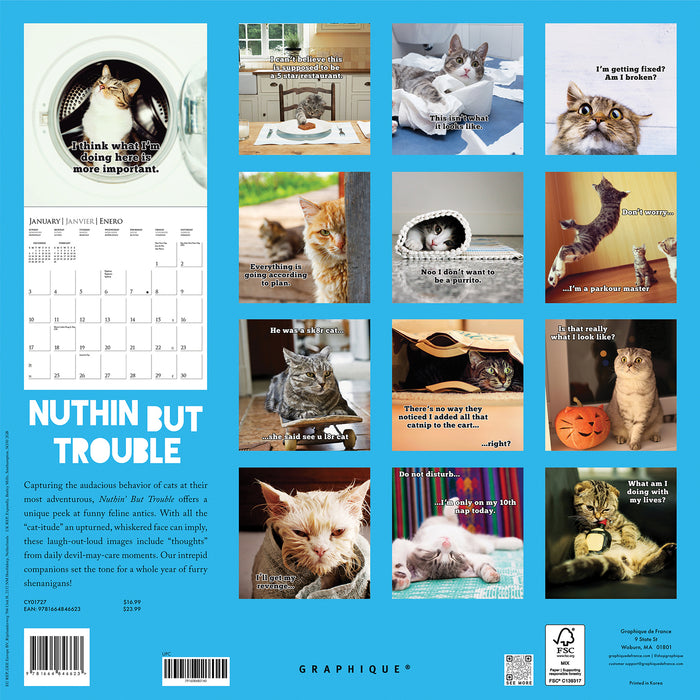 Nuthin But Trouble 2027 Square Wall Calendar