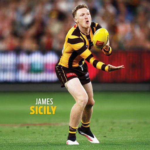 AFL Hawthorn Hawks 2026 Square Wall Calendar