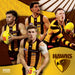 AFL Hawthorn Hawks 2026 Square Wall Calendar