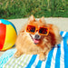 Dogs on Vacation 2027 Square Wall Calendar